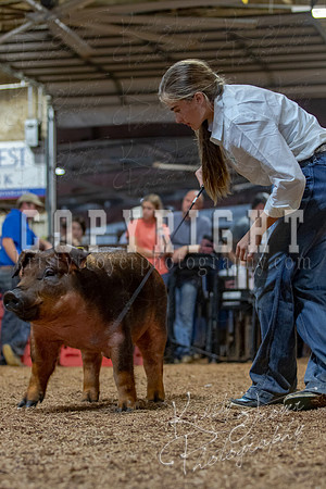 2021_MAYESCOUNTYFAIR_-4904