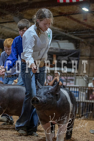2021_MAYESCOUNTYFAIR_-4908