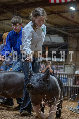 2021_MAYESCOUNTYFAIR_-4909
