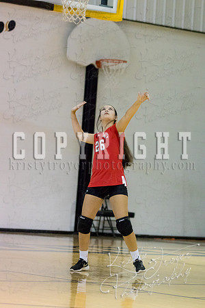 salina_vs_locustgrove_volleyball-1138