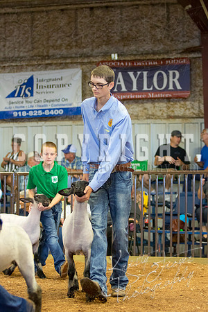 MAYES_COUNTY_FAIR_SHEEP-2939