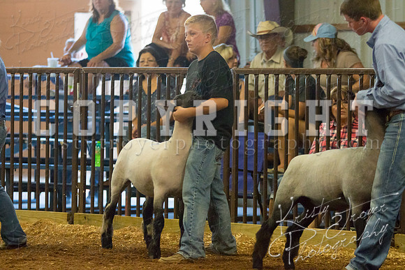MAYES_COUNTY_FAIR_SHEEP-2863
