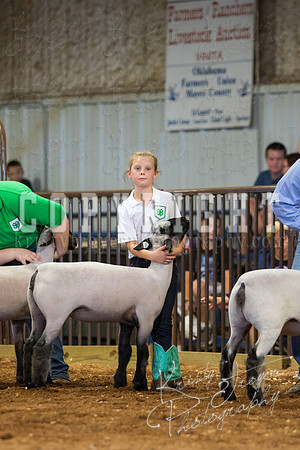 MAYES_COUNTY_FAIR_SHEEP-2951
