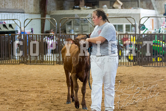 MAYES_COUNTY_FAIR_DAIRY-3395