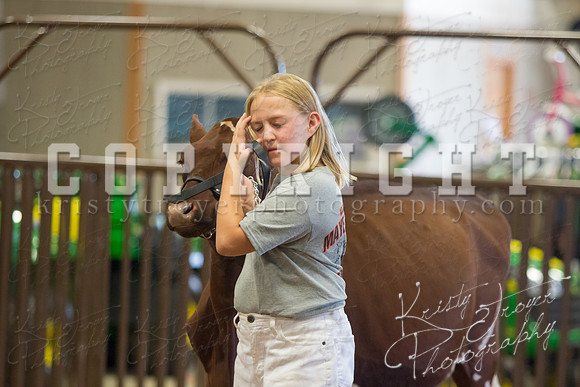 MAYES_COUNTY_FAIR_DAIRY-3451