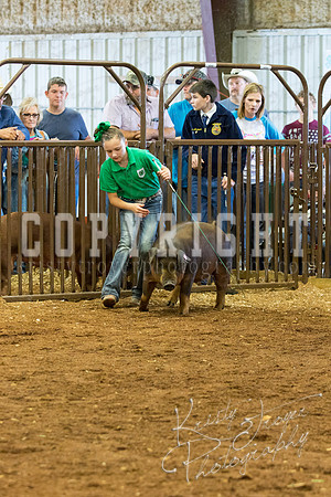 MAYES_COUNTY_FAIR_Swine-9519