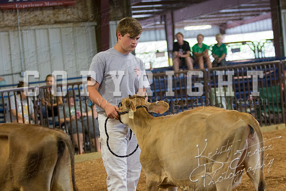 MAYES_COUNTY_FAIR_DAIRY-3363