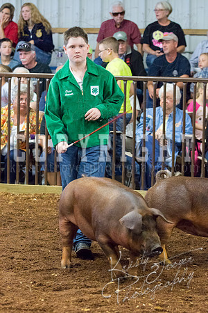 MAYES_COUNTY_FAIR_Swine-9492