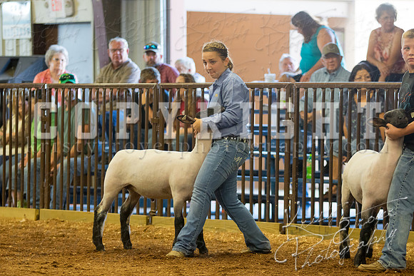 MAYES_COUNTY_FAIR_SHEEP-2873