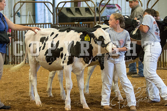 MAYES_COUNTY_FAIR_DAIRY-3319