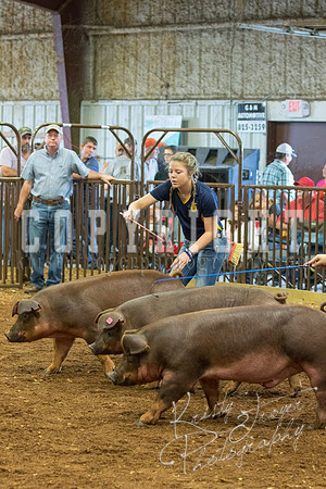 MAYES_COUNTY_FAIR_Swine-9553