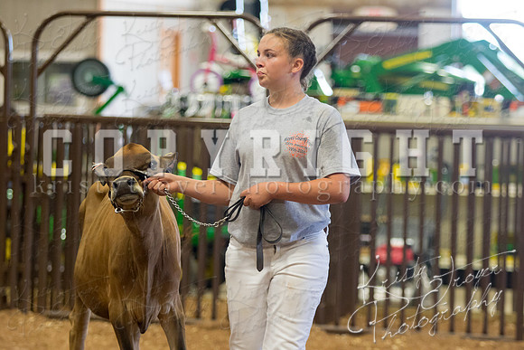MAYES_COUNTY_FAIR_DAIRY-3450
