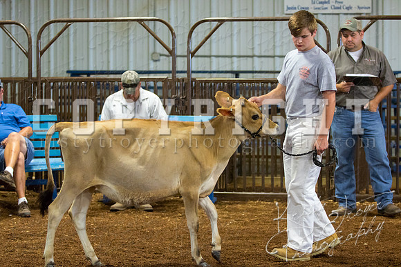MAYES_COUNTY_FAIR_DAIRY-3359