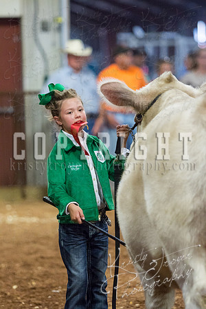 MAYES_COUNTY_FAIR_steer-3978
