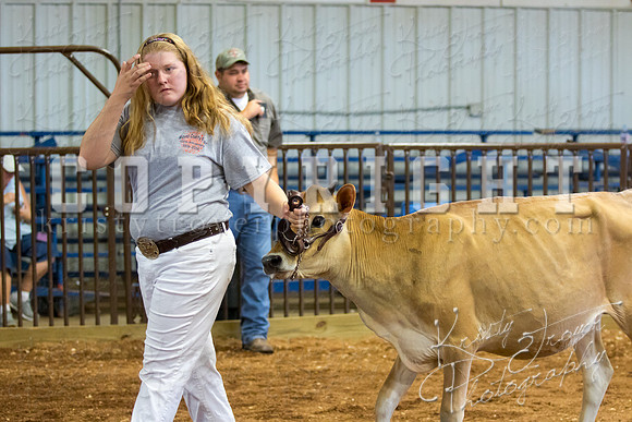 MAYES_COUNTY_FAIR_DAIRY-3369