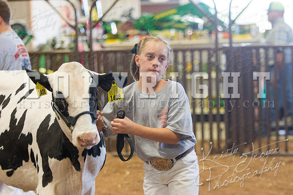 MAYES_COUNTY_FAIR_DAIRY-3321