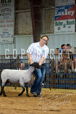 MAYES_COUNTY_FAIR_SHEEP-3099