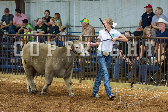 MAYES_COUNTY_FAIR_steer-3979
