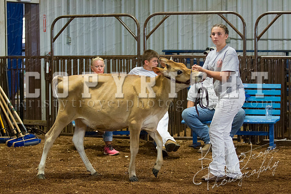 MAYES_COUNTY_FAIR_DAIRY-3381
