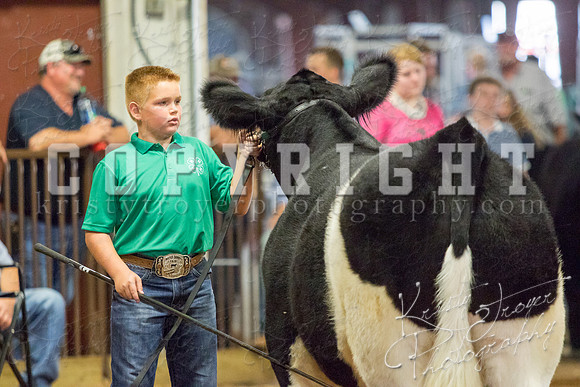 MAYES_COUNTY_FAIR_steer-4044