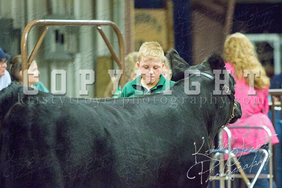MAYES_COUNTY_FAIR_heifer-4130