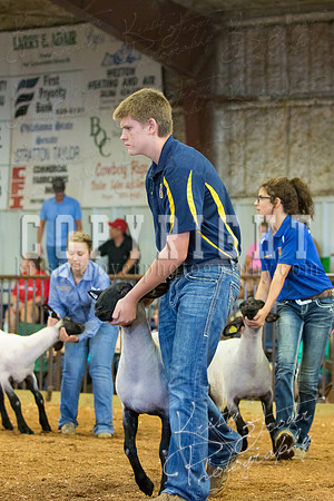 MAYES_COUNTY_FAIR_SHEEP-3091