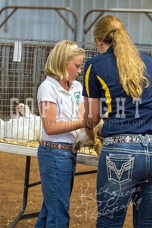 MAYES_COUNTY_FAIR_boiler-3873