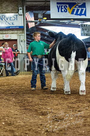 MAYES_COUNTY_FAIR_steer-4042