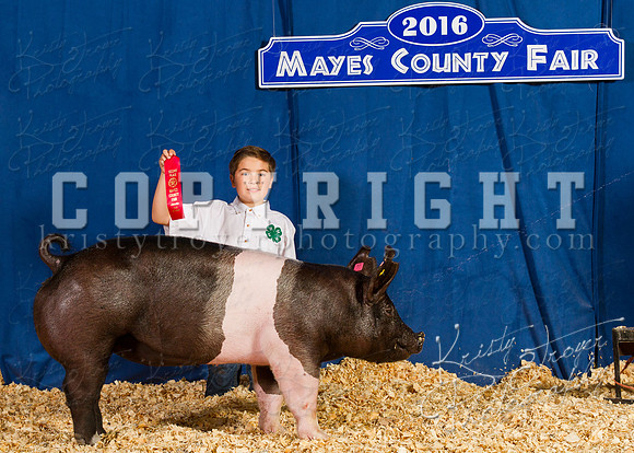 Mayes_County_Fair_Backdrop-0420