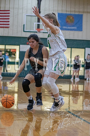 adair_vs_salina_districts_basketeball-5585