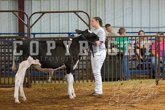 MAYES_COUNTY_FAIR_DAIRY-3351
