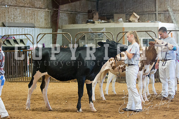 MAYES_COUNTY_FAIR_DAIRY-3357