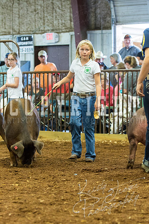 MAYES_COUNTY_FAIR_Swine-9550