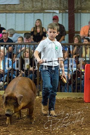 MAYES_COUNTY_FAIR_Swine-9477