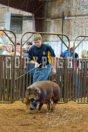 MAYES_COUNTY_FAIR_Swine-9503