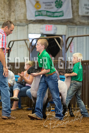 MAYES_COUNTY_FAIR_SHEEP-3126