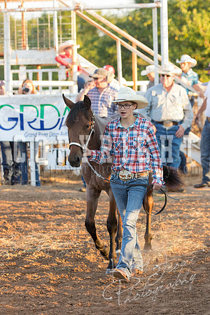 mayes_county_fair_horses-2132