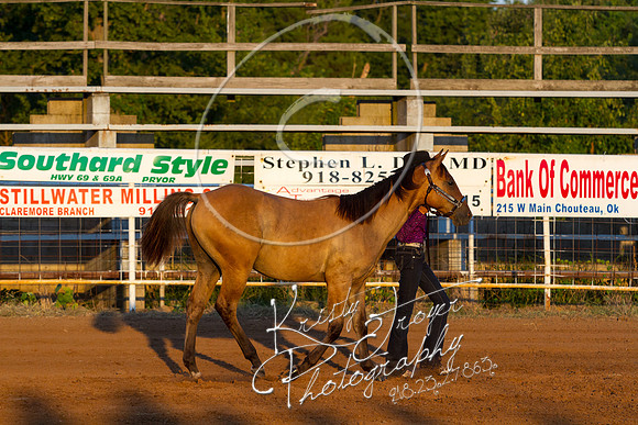 IMG_9908©KRISTYTROYER