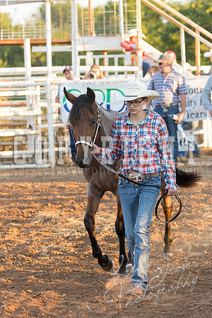 mayes_county_fair_horses-2133