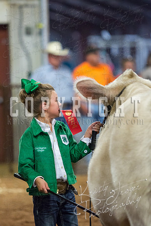 MAYES_COUNTY_FAIR_steer-3976