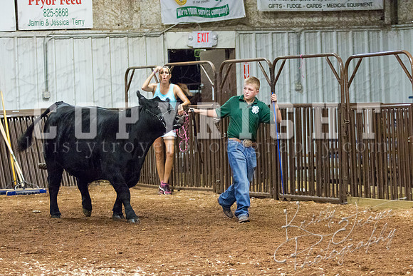 MAYES_COUNTY_FAIR_heifer-4128