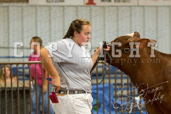 MAYES_COUNTY_FAIR_DAIRY-3412
