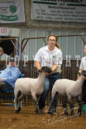 MAYES_COUNTY_FAIR_SHEEP-2946