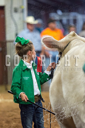 MAYES_COUNTY_FAIR_steer-3977