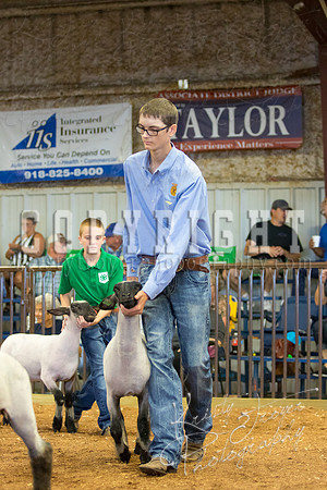 MAYES_COUNTY_FAIR_SHEEP-2940