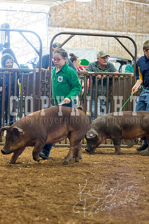 MAYES_COUNTY_FAIR_Swine-9500