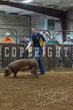 MAYES_COUNTY_FAIR_Swine-9474