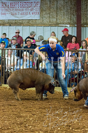 MAYES_COUNTY_FAIR_Swine-9495