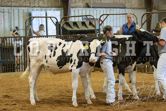 MAYES_COUNTY_FAIR_DAIRY-3318