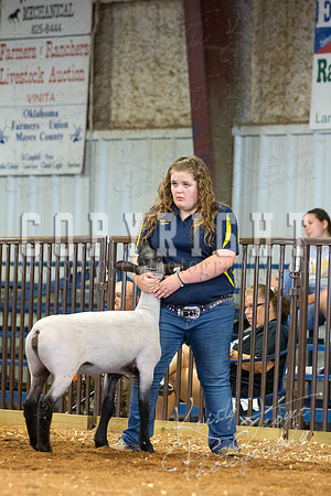 MAYES_COUNTY_FAIR_SHEEP-3116